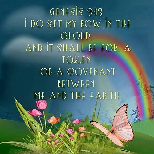 Daily Bible Reading God's Covenant with Noah (Genesis 9:8-19)
